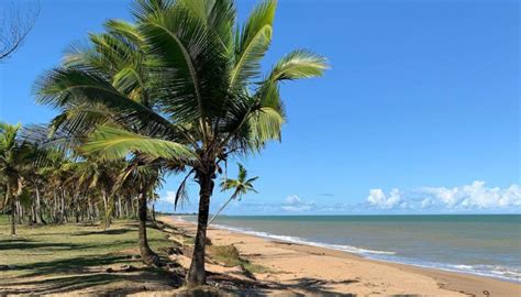 garota de programa nova viçosa|4 praias em Nova Viçosa para você se encantar